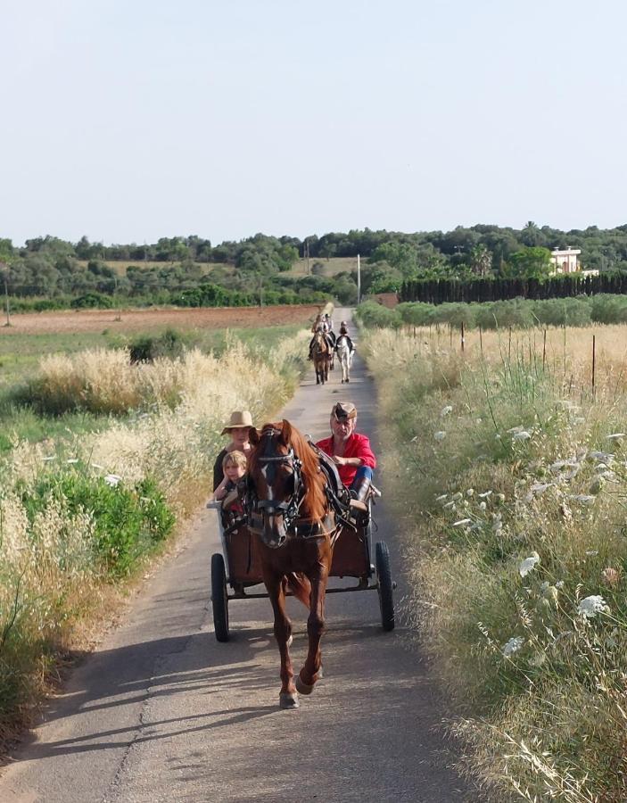 Finca Sa Cova Vella Manacor  Luaran gambar