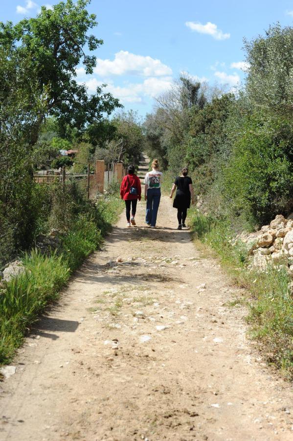 Finca Sa Cova Vella Manacor  Luaran gambar