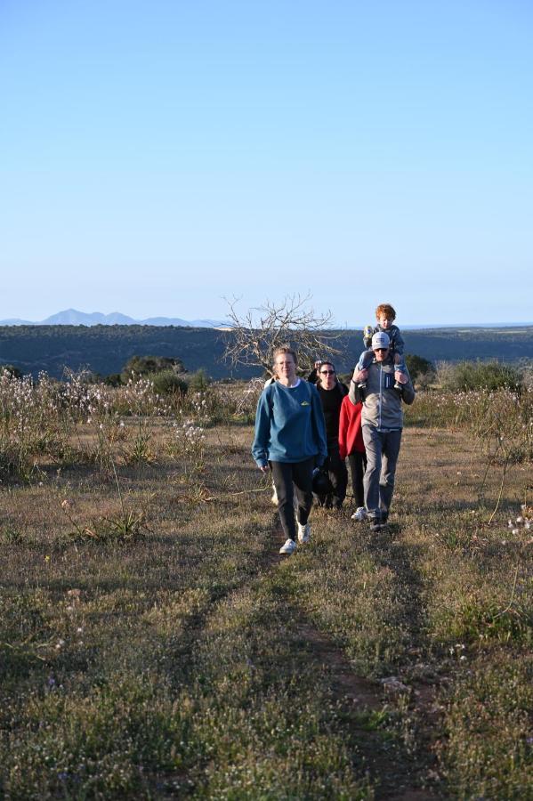 Finca Sa Cova Vella Manacor  Luaran gambar