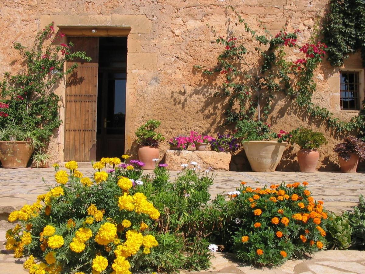 Finca Sa Cova Vella Manacor  Luaran gambar