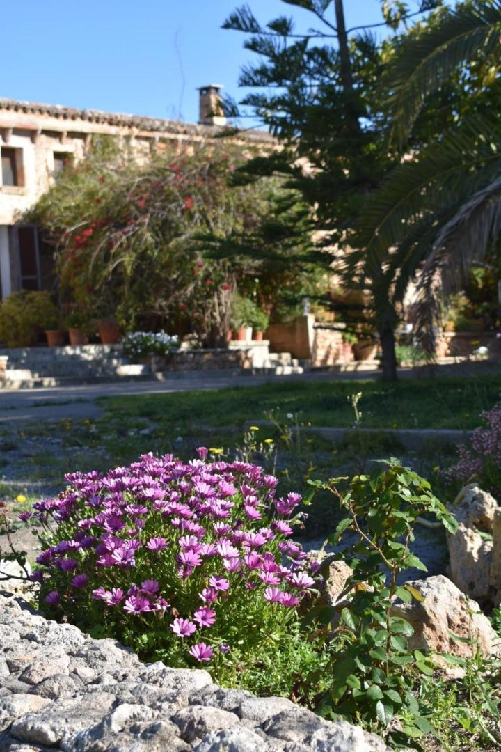 Finca Sa Cova Vella Manacor  Luaran gambar