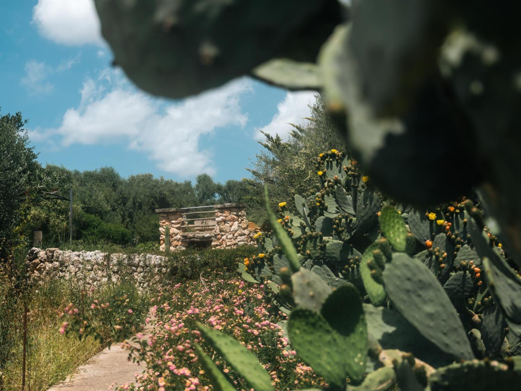 Finca Sa Cova Vella Manacor  Luaran gambar