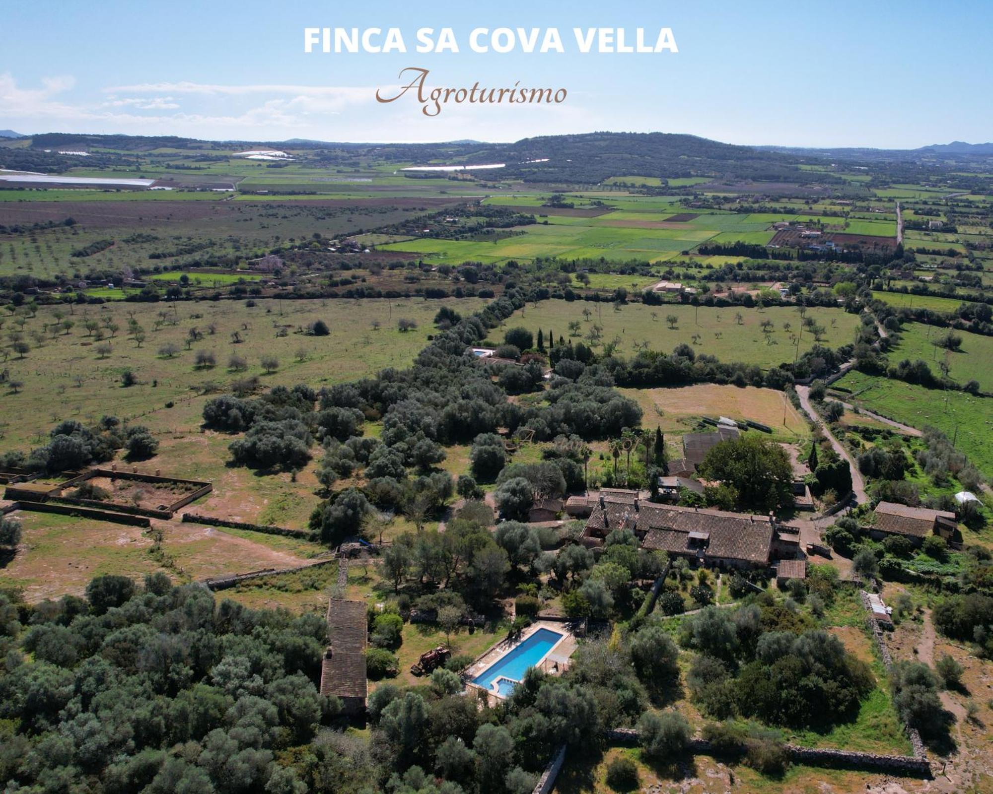 Finca Sa Cova Vella Manacor  Luaran gambar