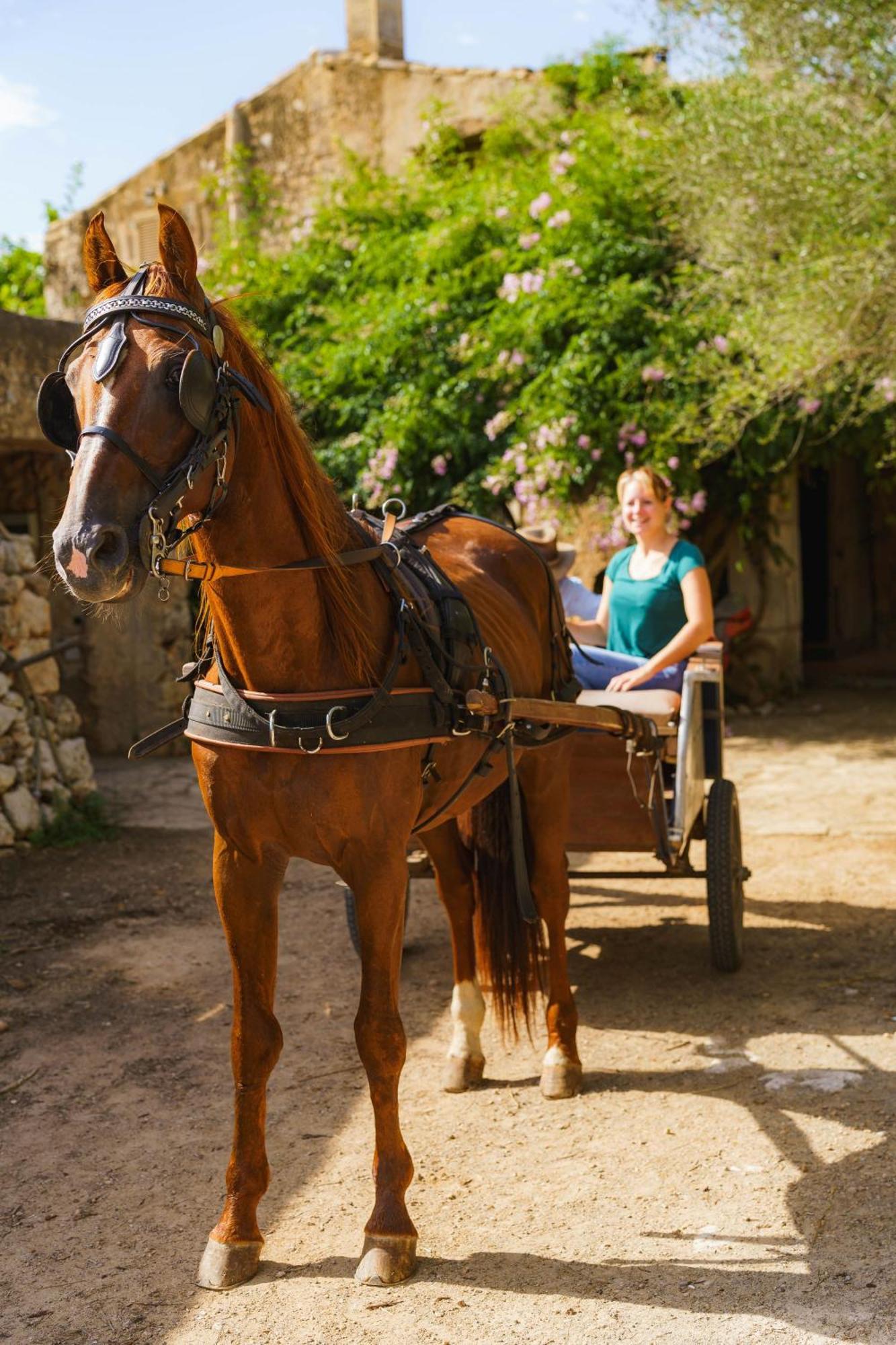 Finca Sa Cova Vella Manacor  Luaran gambar